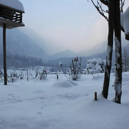 Panorama Mora Daire *